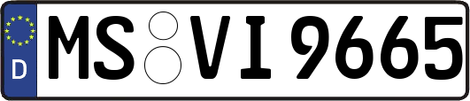 MS-VI9665