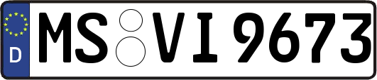 MS-VI9673