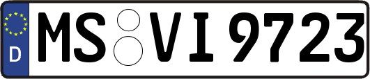MS-VI9723