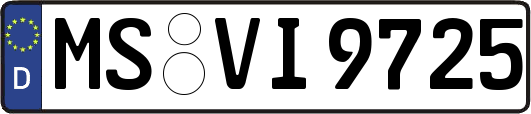 MS-VI9725