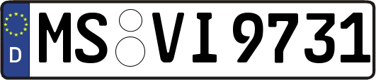 MS-VI9731