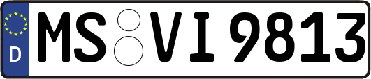 MS-VI9813