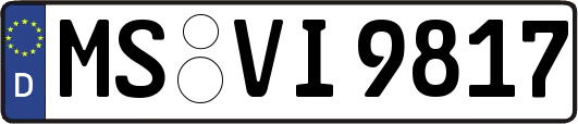 MS-VI9817