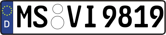 MS-VI9819