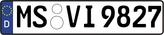 MS-VI9827