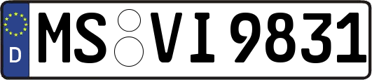 MS-VI9831