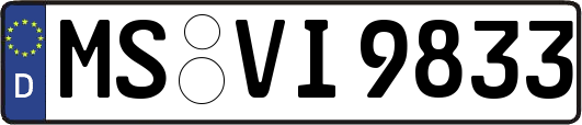MS-VI9833