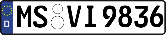 MS-VI9836