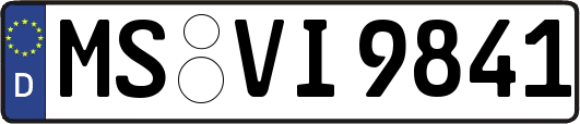 MS-VI9841