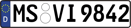 MS-VI9842