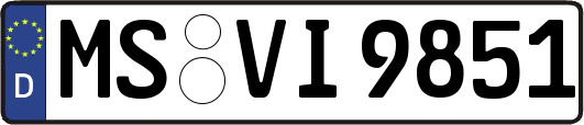 MS-VI9851