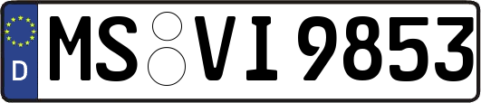 MS-VI9853