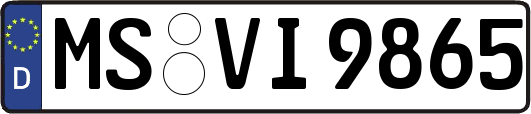 MS-VI9865