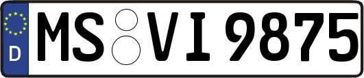 MS-VI9875
