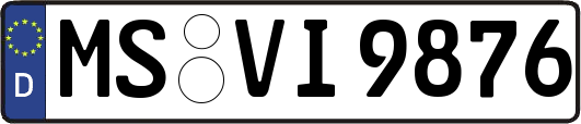 MS-VI9876