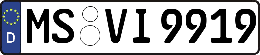 MS-VI9919
