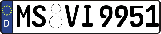 MS-VI9951