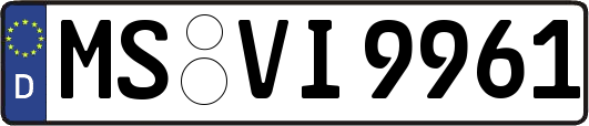 MS-VI9961