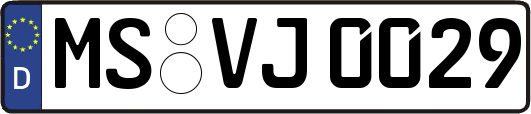 MS-VJ0029