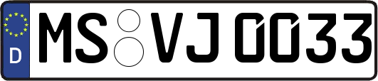MS-VJ0033