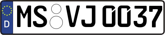 MS-VJ0037