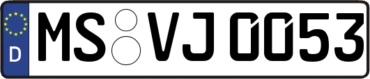 MS-VJ0053