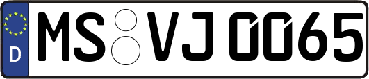 MS-VJ0065