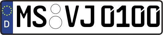 MS-VJ0100