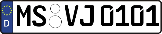 MS-VJ0101