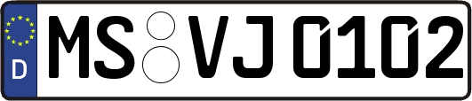 MS-VJ0102