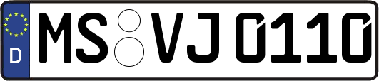 MS-VJ0110