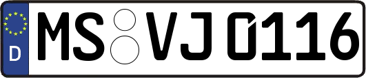 MS-VJ0116