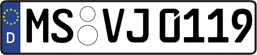 MS-VJ0119