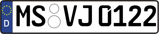 MS-VJ0122