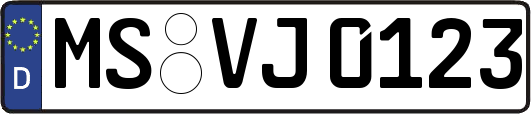 MS-VJ0123