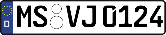 MS-VJ0124