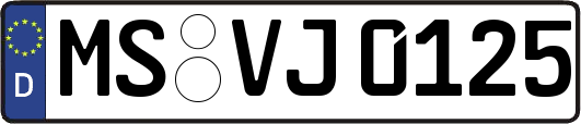 MS-VJ0125