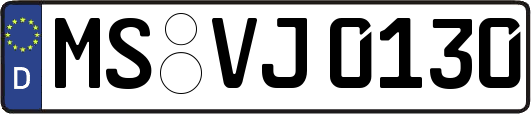 MS-VJ0130