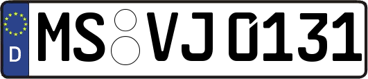 MS-VJ0131