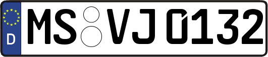 MS-VJ0132