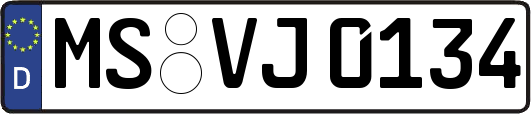 MS-VJ0134