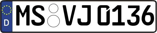MS-VJ0136