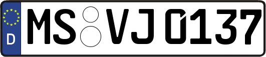 MS-VJ0137
