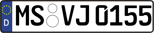 MS-VJ0155