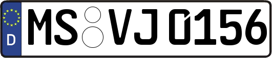 MS-VJ0156
