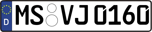 MS-VJ0160