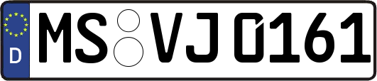 MS-VJ0161
