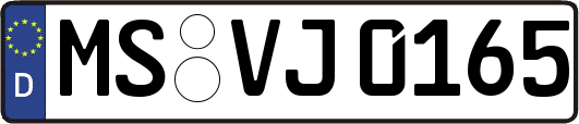 MS-VJ0165