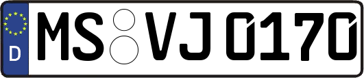 MS-VJ0170