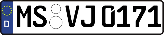 MS-VJ0171